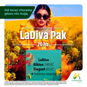 ladiva_pak_zatwierdzony ladiva_pak_zatwierdzony